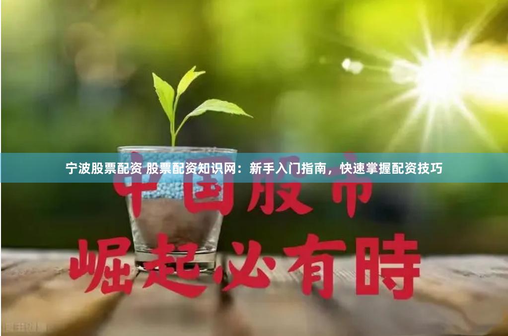 宁波股票配资 股票配资知识网：新手入门指南，快速掌握配资技巧